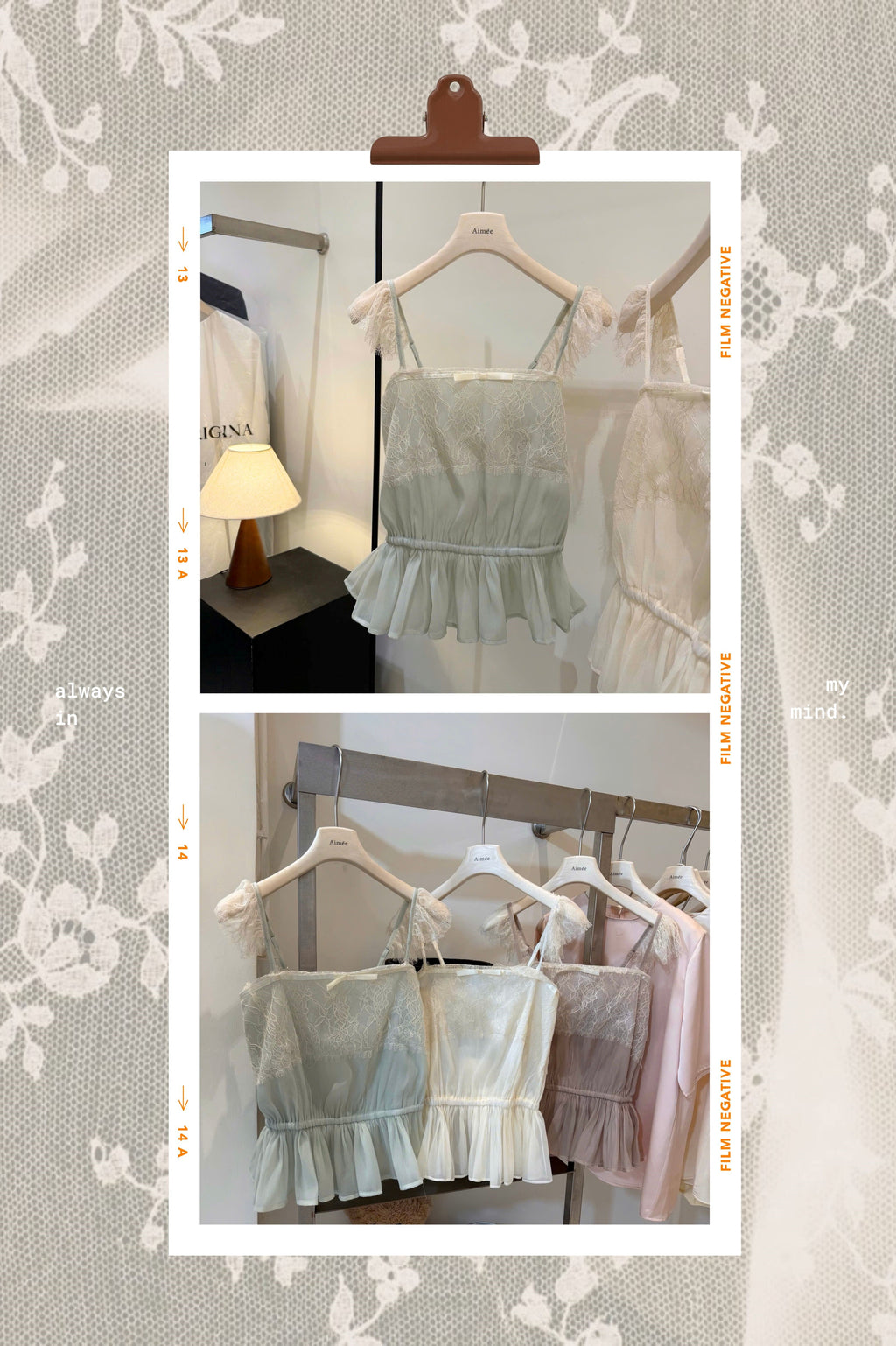 Petal & Lace Top