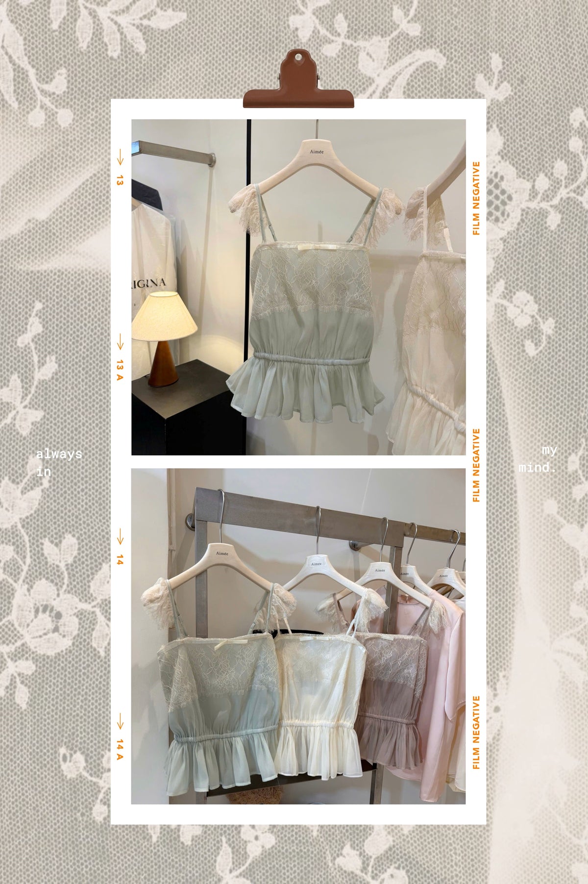 Petal & Lace Top